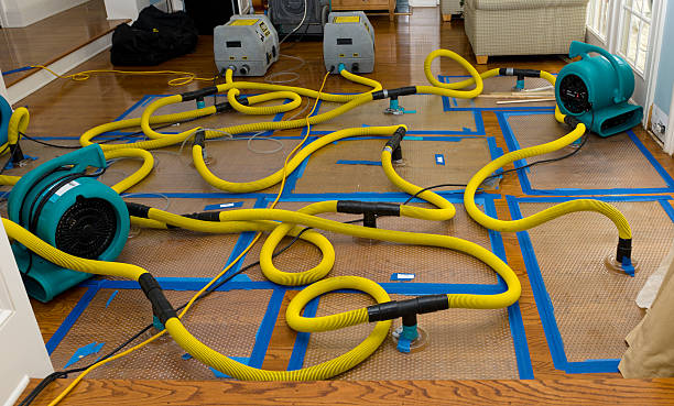 Professional Structural Drying And Dehumidification technician working in Reeseville, WI